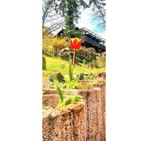 Idyllische Almhütte als Wohnhaus oder Wochenenddomizil - Hargesheim