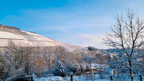 Foto - Einfamilienhaus in Hargesheim zum Kaufen