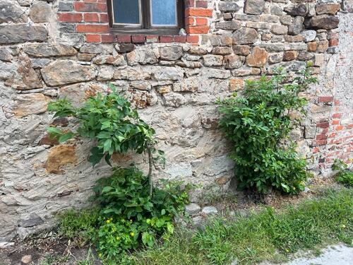 Foto - Renovierungsbedürftige Scheune mit Garten und Bungalow