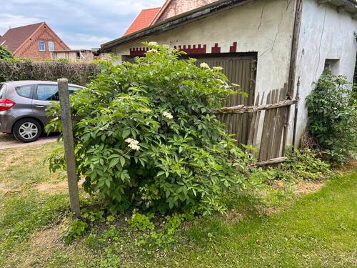 Foto - Bungalow mit 100,00 m&sup2; in Oebisfelde-Weferlingen zum Kaufen