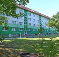 Gemütlich im Grünen wohnen - 245,00 EUR Kaltmiete, in Limbach-Oberfrohna (PLZ: 09212)