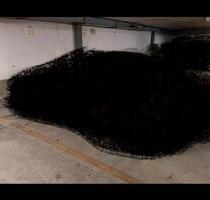 Tiefgarage Köln Pesch - 65,00&nbsp;EUR Miete, in Pulheim (PLZ: 50259)