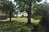 Foto - Einfamilienhaus zum Kaufen in Beilrode
