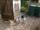 Foto - 