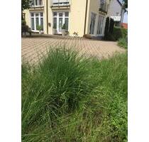 Exklusive Praxisbeteiligung Untermiete im Zentrum von Margretha - Albstadt Gemarkung Burgfelden