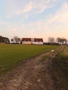 Foto - Frisch sanierte 3-Zimmer-Wohnung in Mackendorf