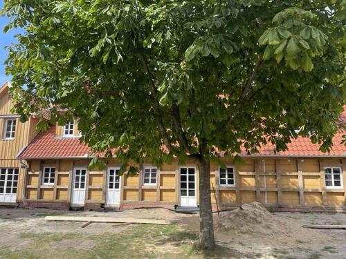 Foto - Etagenwohnung zur Miete in Nortrup