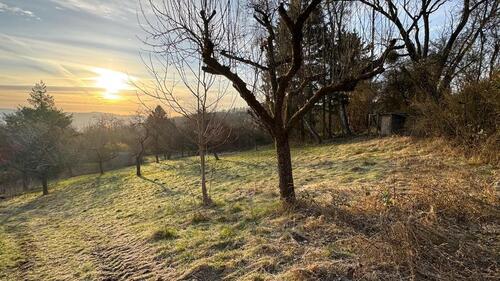 Foto - Grundst&uuml;ck zur Miete in Zell am Main
