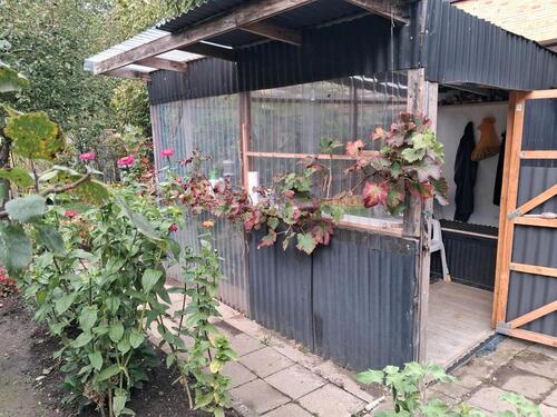 Foto - kleinen Garten - 200,00 EUR Kaltmiete, ca.  0,00 m²