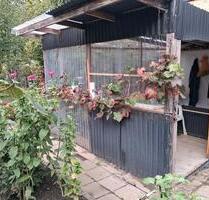 kleinen Garten - 200,00 EUR Kaltmiete, ca.  0,00 m² in Greifswald (PLZ: 17491) Groß Schönwalde