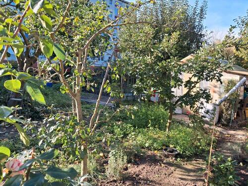 Foto - Grundstück zur Miete in Greifswald