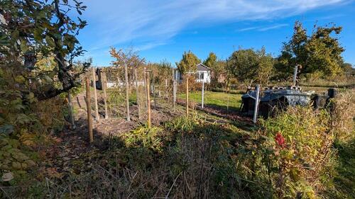 Foto - Kleingarten abzugeben in Greifswald