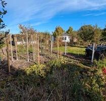 Kleingarten abzugeben in Greifswald