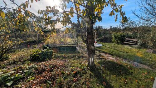 Foto - Grundstück in Greifswald zur Miete