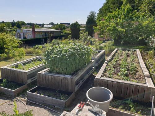 Foto - Grundstück zur Miete in Neubrandenburg