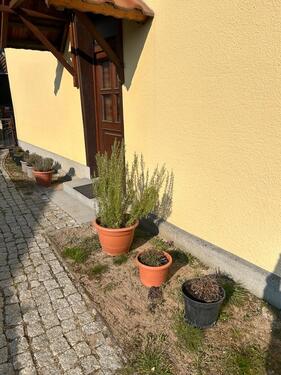 Foto - Kleine Wohnung (Untermiete Kurzzeitmiete)