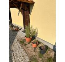 Kleine Wohnung (Untermiete Kurzzeitmiete) - Benz