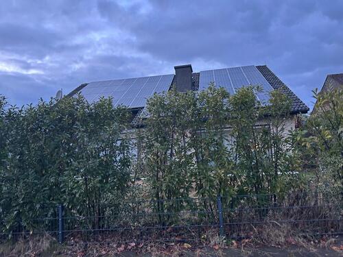 Foto - 6 Zimmer Einfamilienhaus in Münster