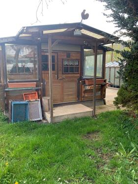 Foto - Grundst&uuml;ck zur Miete in Plaue