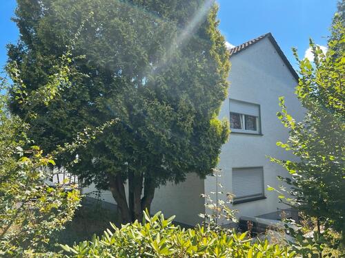 Foto - 3 Zimmer Erdgeschoßwohnung zur Miete in Hennef (Sieg)