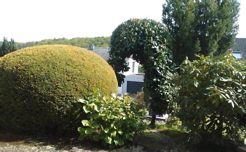 Foto - Einfamilienhaus in Nidderau zum Kaufen