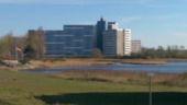 Foto - 
