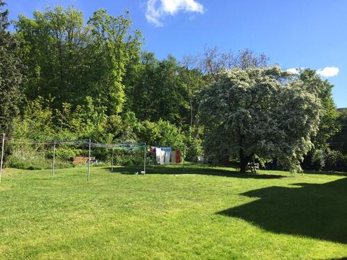 Foto - Ihr Gartentraum am Waldrand! Charmante 3-Zi-Wohnung ☀️