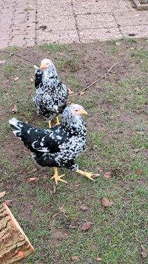 Foto - 59425unna köniksborn - 100,00 EUR Kaltmiete,