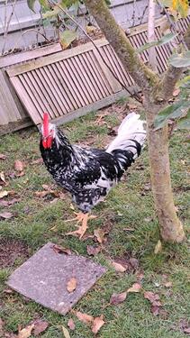 Foto - andere zur Miete in Unna