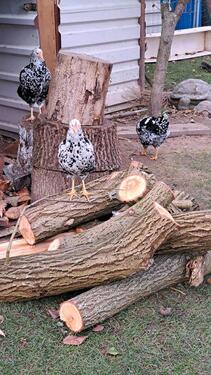 Foto - andere in Unna