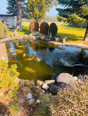 Foto - 8 Zimmer Einfamilienhaus zum Kaufen in Pyrbaum