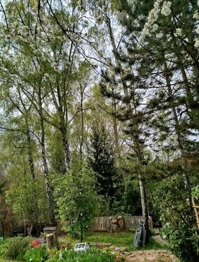 Foto - Grundst&uuml;ck in Gera zur Miete