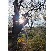 Garten Pachtgarten Leipzig Portitz