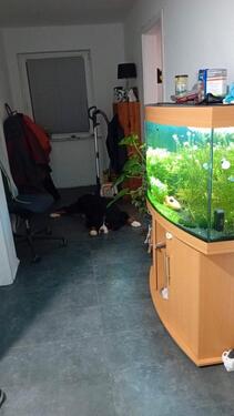 Foto - Etagenwohnung in Neuhaus (Oste)