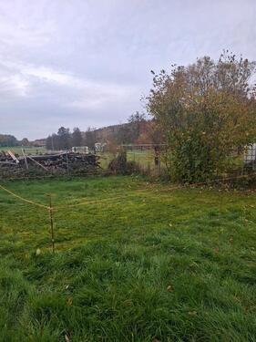 Foto - Stellplatz für Wohnwägen, Hänger, etc. auf RasenWiese