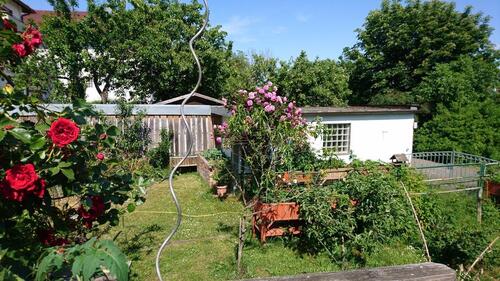 Foto - 5 Zimmer Einfamilienhaus in Gemünden am Main