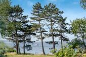 Foto - 4 Zimmer Villa zum Kaufen in Glücksburg (Ostsee)