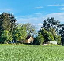 Haus mit Grundstück in mitten Natur, nähe Bodensee am Weiher - Immenstaad am Bodensee