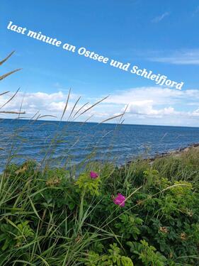 Foto - last minute an Schlei und Ostsee 10-23.8.25