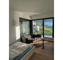 Exklusives 1 Zimmer Apartment voll möbliert Neubau 2025 - Aalen Ebnat