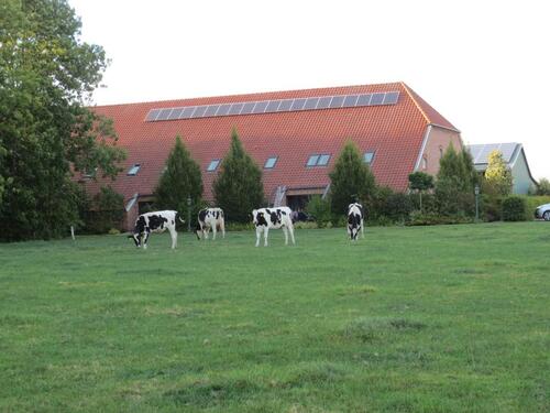 Foto - andere zur Miete in Moormerland