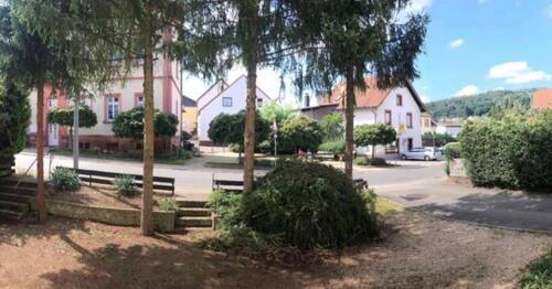 Foto - Einfamilienhaus in Blieskastel zum Kaufen