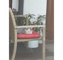 3 Zimmer Wohnung zu vermieten in Memmingen