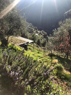 Foto - andere in Diez