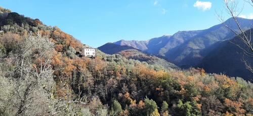 Foto - andere in Diez zur Miete