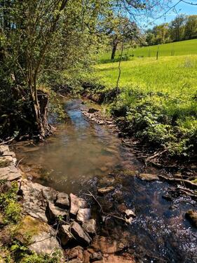 Foto - Garten am Biberbach Kleingarten Freizeitgrundstück