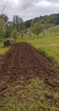 Foto - Grundst&uuml;ck zur Miete in Neckargerach