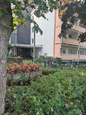 Foto - 1-Zimmer-Wohnung in Frankfurt-Nied – Ab sofort bezugsfrei!