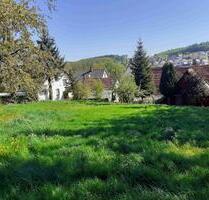 Wiese, Garten, Freizeitgrundstück mit Häuschen zu vermieten - Billigheim