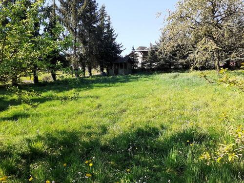 Foto - Grundst&uuml;ck zur Miete in Billigheim